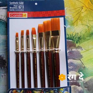Buy Synthetic Gold Round Brushes by Camlin online from Rang De Studio, Made for professional painters, less expensive and competitive quality.