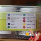Shop fevicryl Acrylic Colours 10 Shades Set Online from Rang De Studio